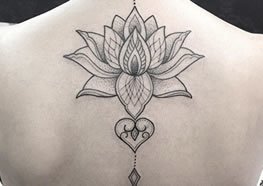 Flor De Lotus Significado Flor De Lotus Tatuagem Na Panturrilha Feminina