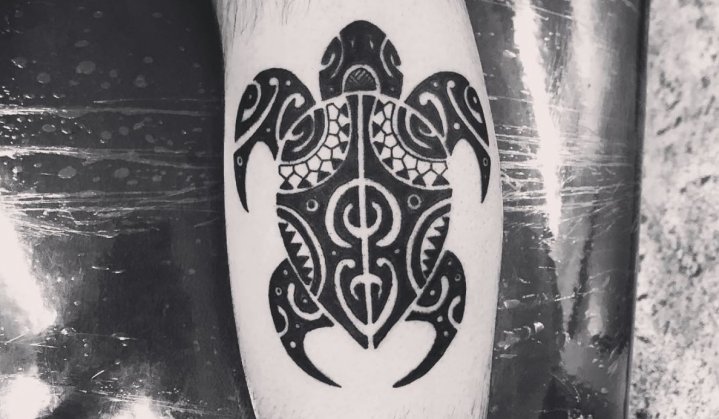 Tartaruga Maori: História, Símbolos, Significados e Muita Tattoo