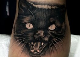 Tatuagem de gato preto: Significado e as Melhores Tattoos para você