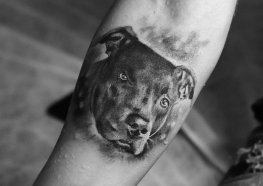 Tatuagem de Pitbull: Significado, Características e Ideias de Tattoos