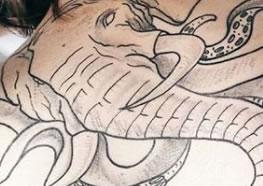 Tatuagens de elefante: Significado, História, Símbolos e Tatuagens