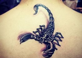 Tatuagens de Escorpião: Significado e Idéias