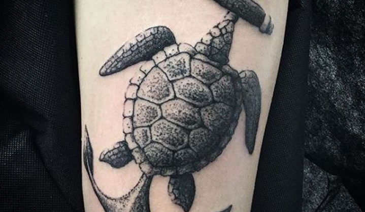 Tatuagens de Tartaruga: Significado e Inspirações para sua tattoo