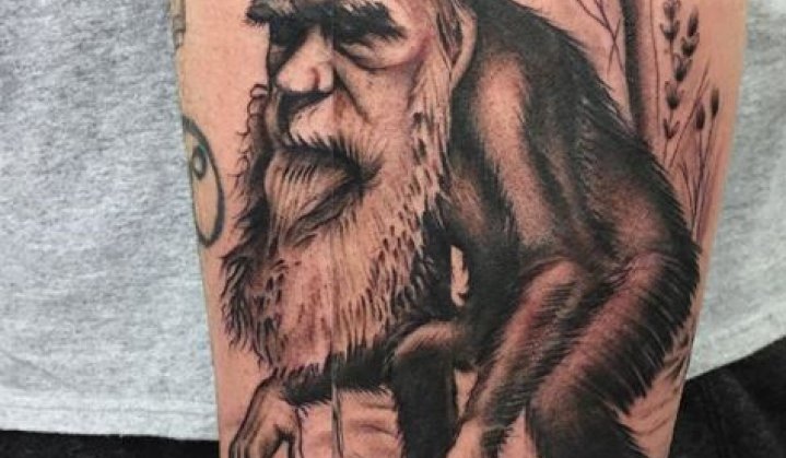 Tatuagens Evolutivas de Charles Darwin